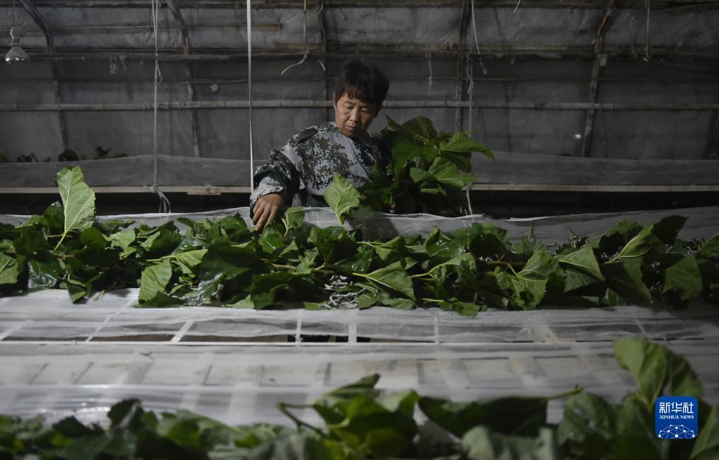 赠送彩金的游戏平台